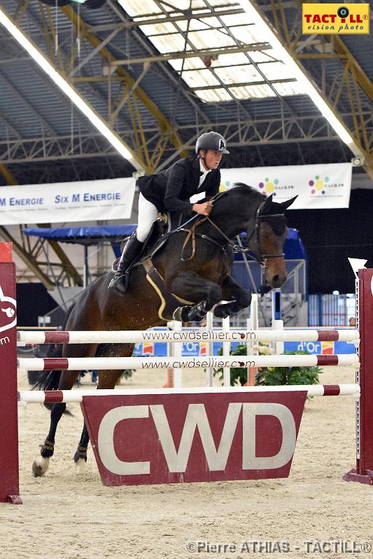 jumping_dijon_20151009_D72_1328.JPG - Jumping Indoor Dijon-BourgogneParc des Expositions8-11 Octobre 2015