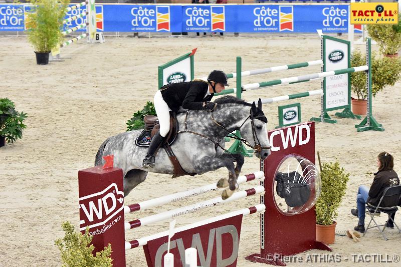 jumping_dijon_20151009_D72_1405.JPG - Jumping Indoor Dijon-BourgogneParc des Expositions8-11 Octobre 2015