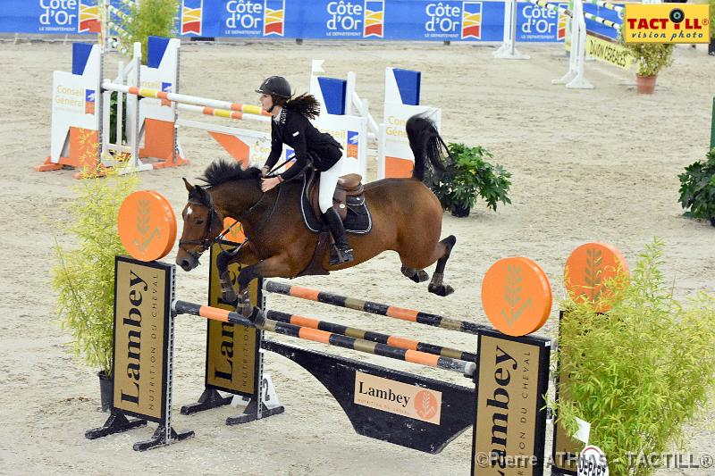 jumping_dijon_20151009_D72_1423.JPG - Jumping Indoor Dijon-BourgogneParc des Expositions8-11 Octobre 2015