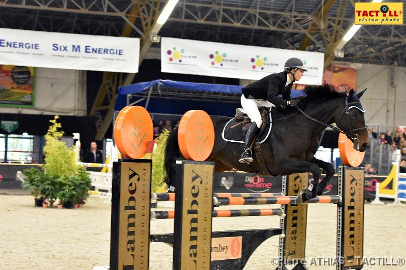 jumping_dijon_20151010_D72_1493.JPG - Jumping Indoor Dijon-BourgogneParc des Expositions8-11 Octobre 2015