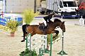 jumping_dijon_20151009_D72_1426