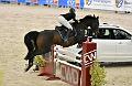 jumping_dijon_20151009_D72_1437