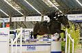 jumping_dijon_20151010_D72_1506_DXO