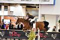 jumping_dijon_20151010_D72_1546