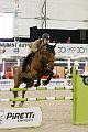 jumping_dijon_20151010_D72_1560_DXO