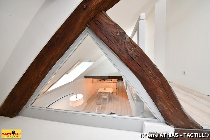 tactill_archi_123.JPG - Appartement 43 rue BuffonSandrine Bouillot - Romapa21000 DIJON