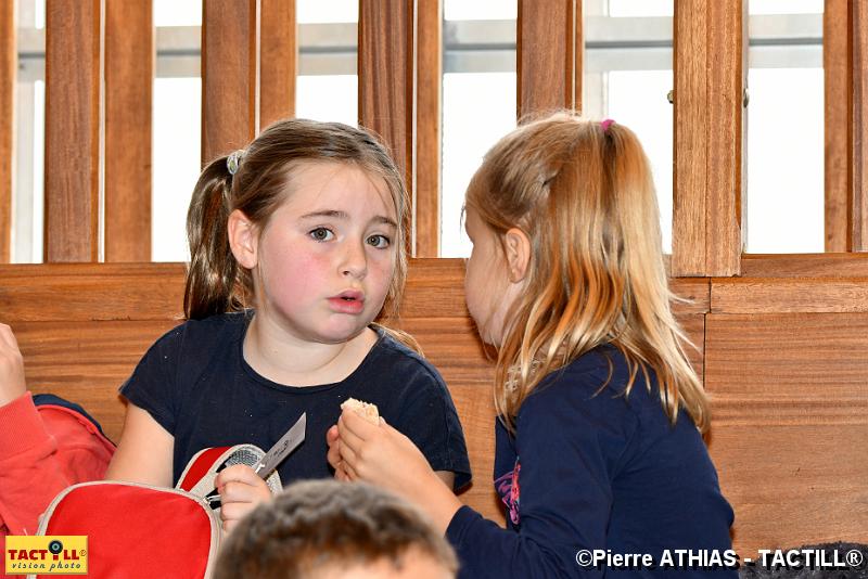tactill_enfance-maternite_052.JPG - Journée Sport-SantéGymnase François MitterrandSaint Apollinaire16 Novembre 2017