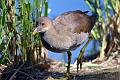tactill_nature_2013-08-18_003
