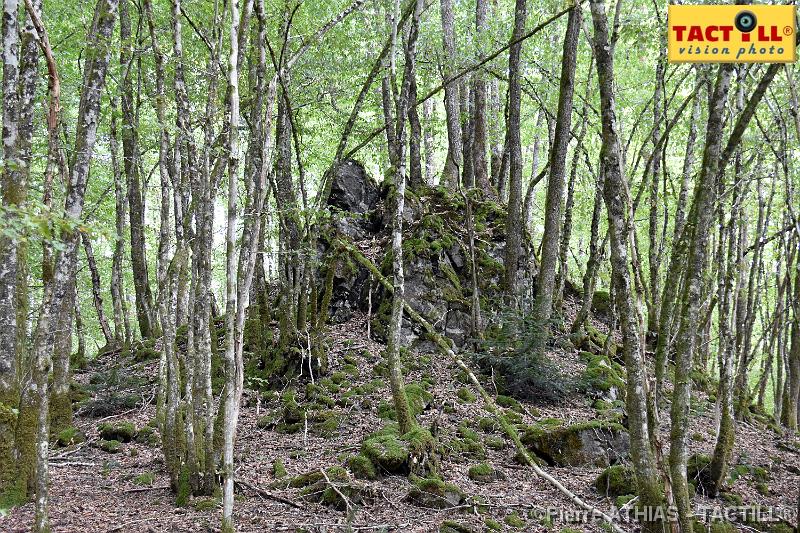 rando_Melay_20150905_D72_0888.JPG - Randonnées au Pays des Mille Etangsà partir du gite de MelayVosges de Haute Saone4-6 Septembre 2015